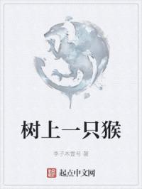 地上一只猴一共几个?