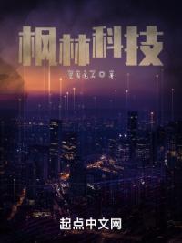 枫林科技有限公司