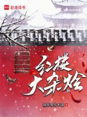 红楼梦杂烩汤啥意思