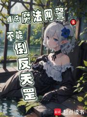 谁说魔法网警不能倒反天罡盗版在哪里看