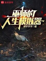 巫师的人生模拟器怎么下架了