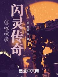 灵魂武装闪灵传奇在线观看