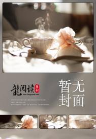 总裁的头号新宠免费