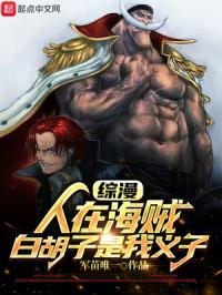 人在海贼打造诸天团子