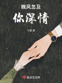 晚风不及你深情免费阅读温暧