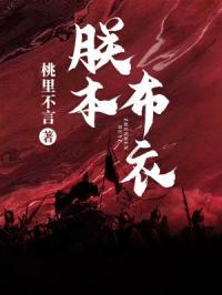 朕本布衣下一句是什么