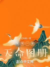 我有一卷天命图册 台式电脑
