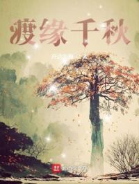 渡缘歌词是什么意思