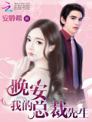 晚安我的总统大人免费阅读