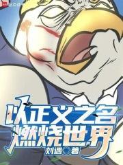 以正义之名燃烧世界