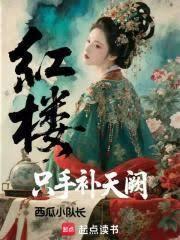 红楼只手补天阙全文免费阅读