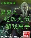 游戏高手在异世