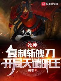 死神复制体对战的是哪几集