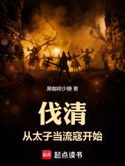 伐清从太子当流寇开始