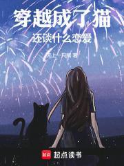穿越成猫是什么电视剧