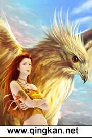 噬龙帝主角多少老婆