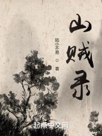 山贼录 陆小不易