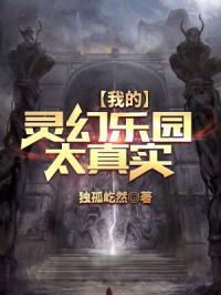 我的幻灵过于可爱