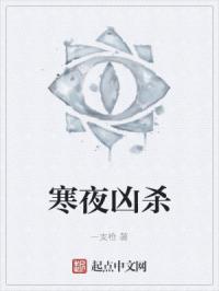 寒夜杀机在线播放