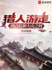 猎人游走四合院和大山之间无防盗