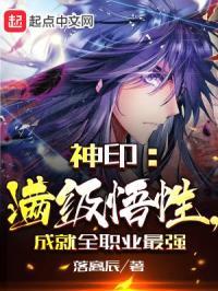 神印手游 最强职业