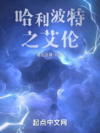 哈利波特之艾奇