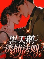 黑天鹅诱捕法则txt免费全本