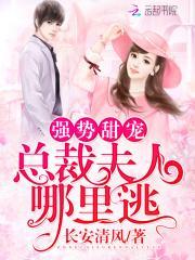 总裁夫人太强悍