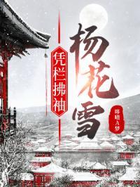 凭栏拂袖杨花雪什么意思