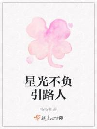 星光不负引路人下一句