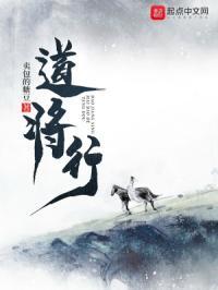 盗将行歌词是什么