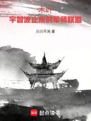 木叶之宇智波止水