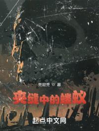 夹缝中的蝼蚁是什么歌