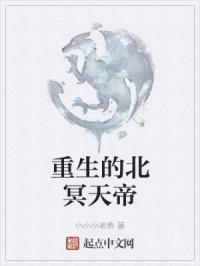 重生的北冥天帝免费阅读
