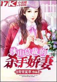 冰山总裁的高手