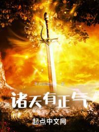 诸天之浩然正气诀