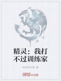 精灵之我不是训练家