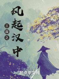 三国之风云再起