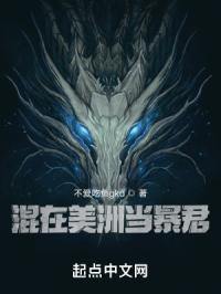 混在美洲当酋长