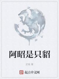阿昭的意思