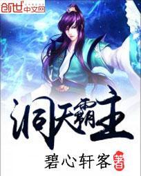 洞天形态哪个好看