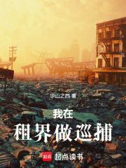 我在租界做巡捕 华山之西