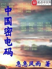 中国密码麻烦