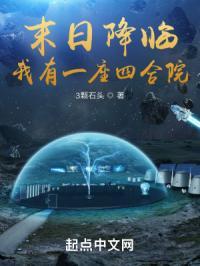 我有一座四合院 3颗石头