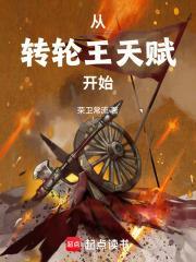 转轮王攻略视频