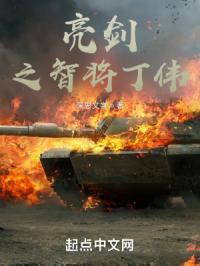 亮剑之智将丁伟 深思文学