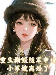 重生军嫂离婚弃妇持好