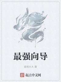 最强向导 竹亦心