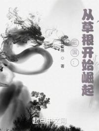 三国从草根开始崛起 烟花若殇