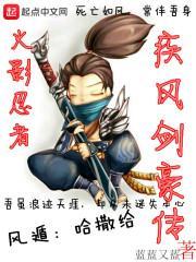 火影忍者疾风传疾风
